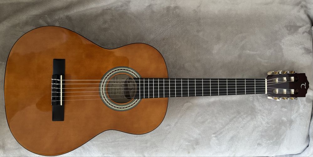 Gitara DBT 34 Tanglewood Discovery