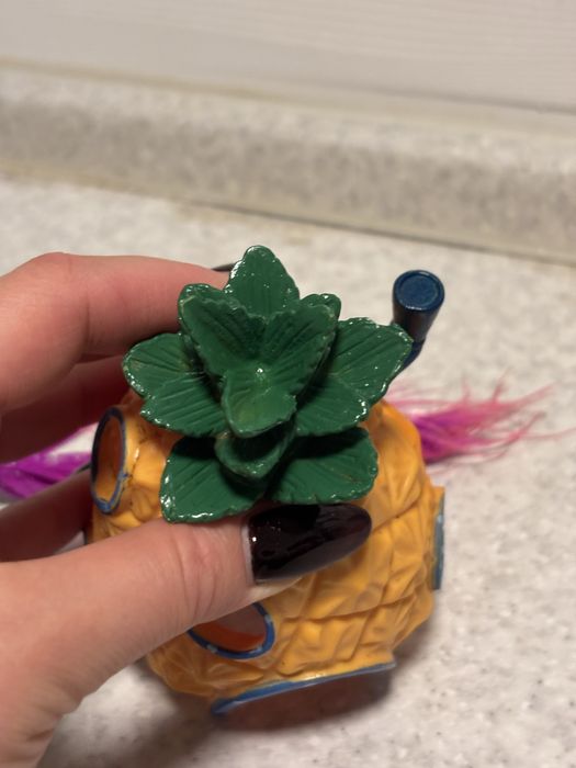 Будинок Спанч Боба, Губка Боб