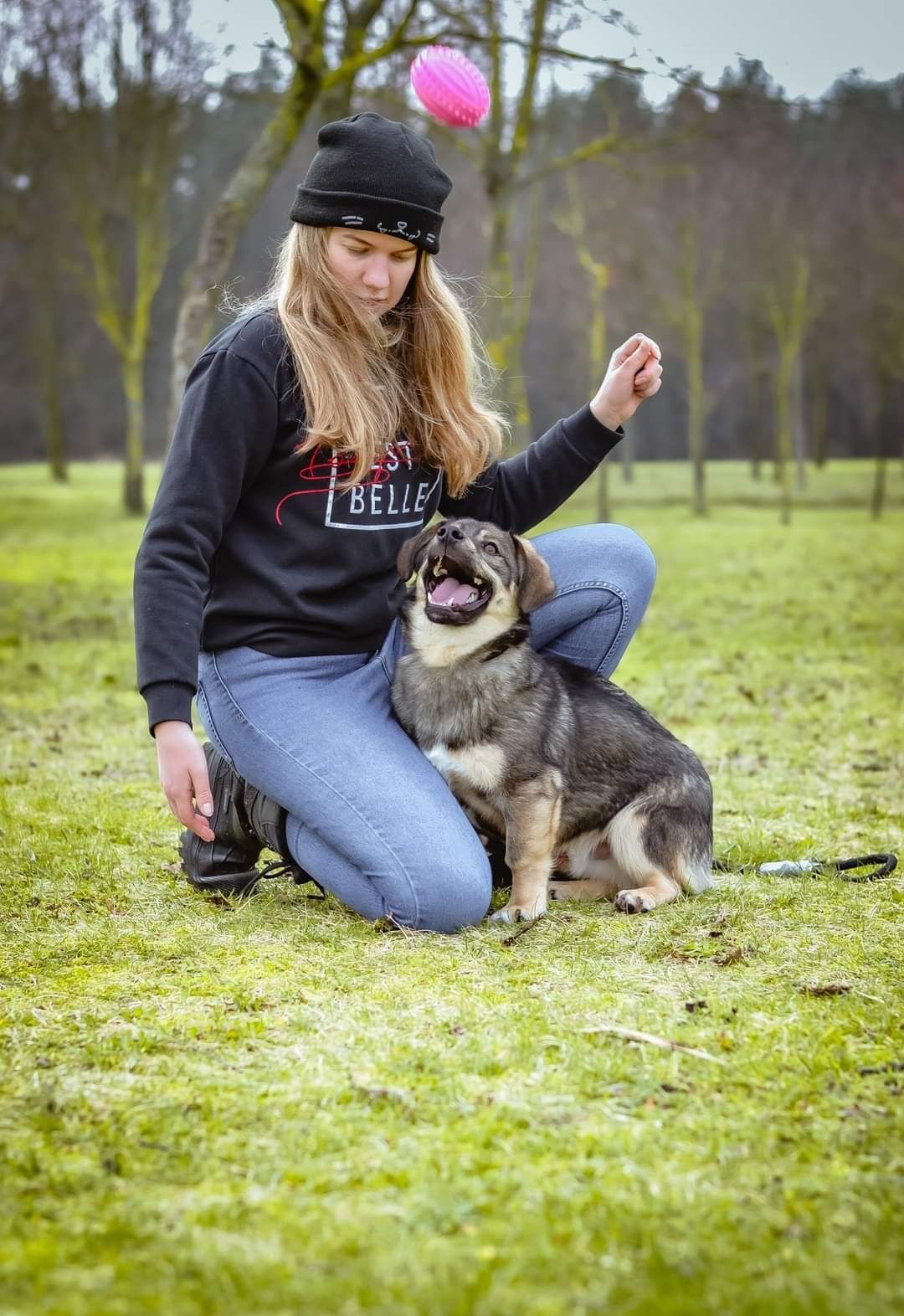 Podrośnięty Szczeniak szuka Domu! Słodki maluch do adopcji!