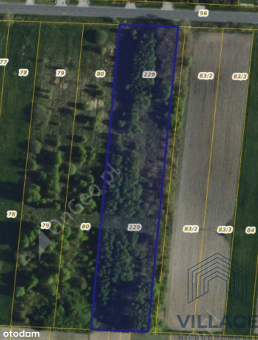 Działki pod zabudowę lub inwestycję