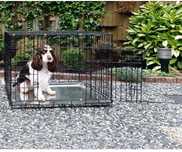 NOVO - Dog Crate, Jaulas de Transporte desdobrável para cão e gato