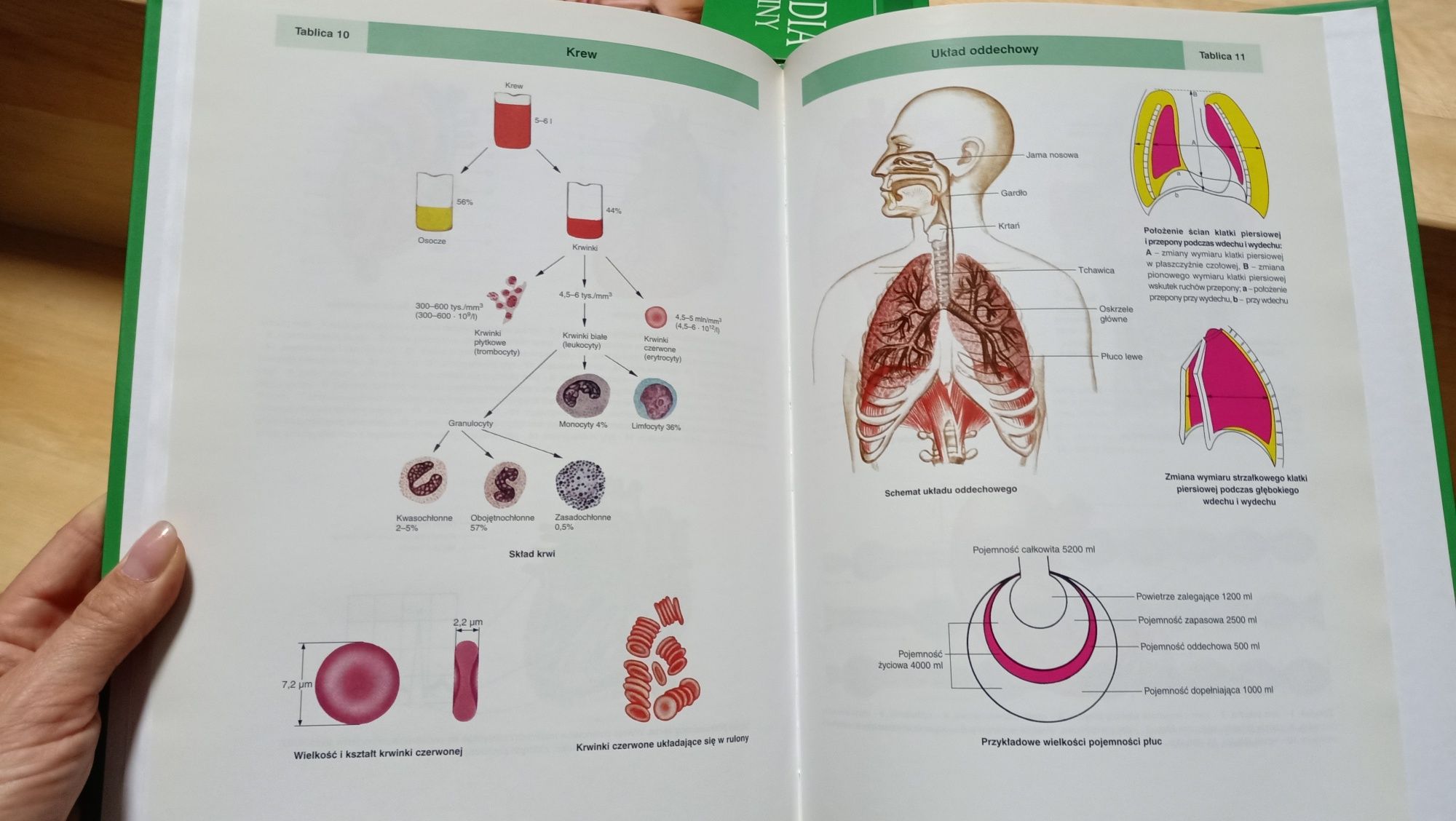 Encyklopedia zdrowia rodziny 18 tomów