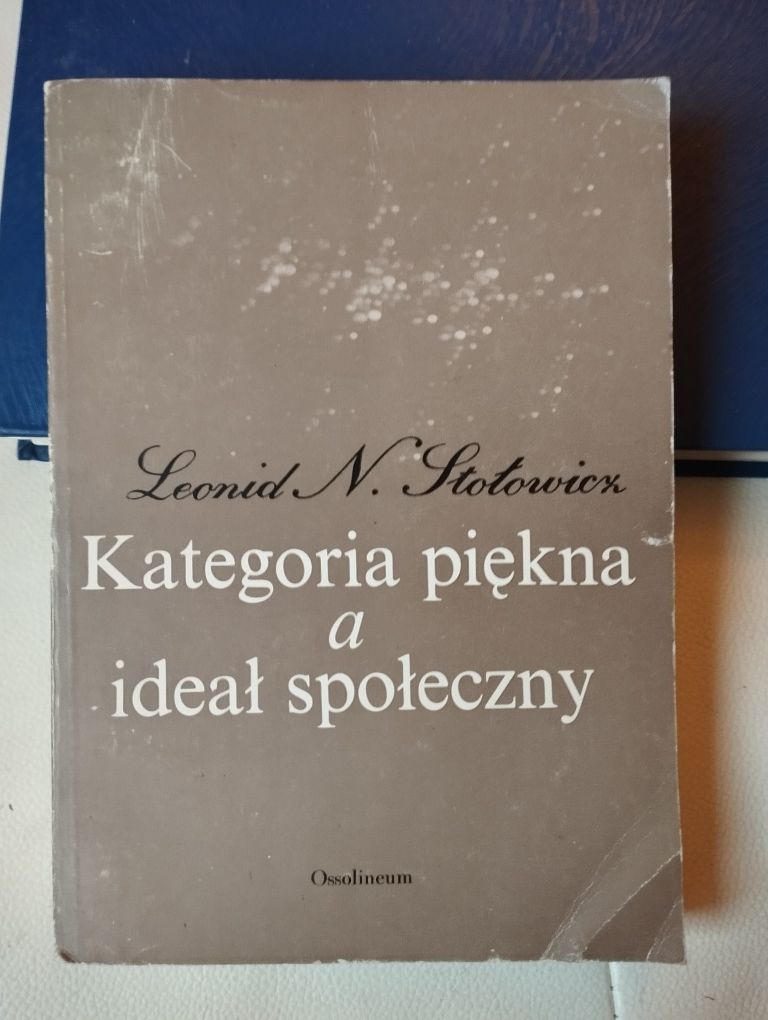 Stołowicz kategorią piękna a ideał społeczny