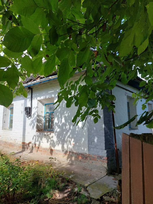 Продається будинок в селі Дібрівка, біля міста Миргород