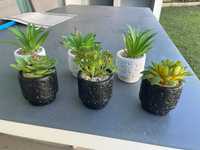 Conjunto de 6 vasos com plantas suculentas decorativas Black & White