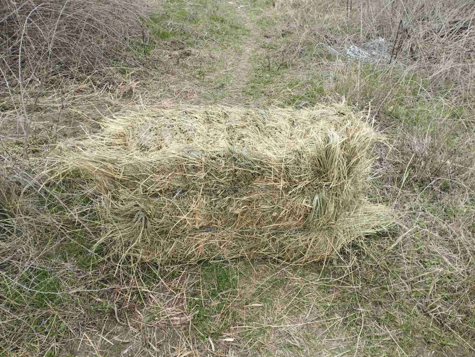 Продам сено в тюках