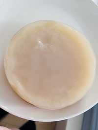 Scoby kombucha grzybek herbaciany