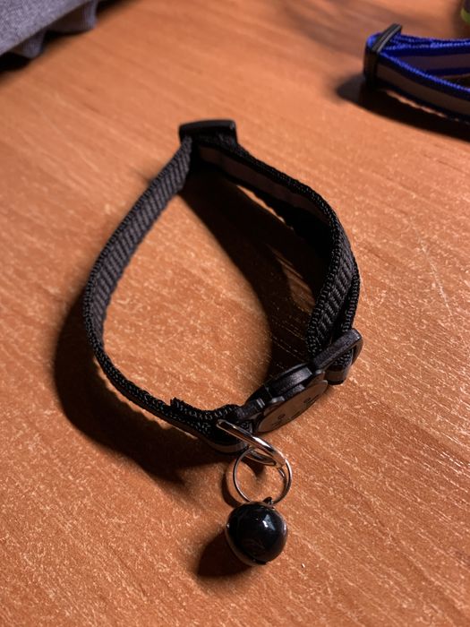 Світловідбивний Нашийник для котів