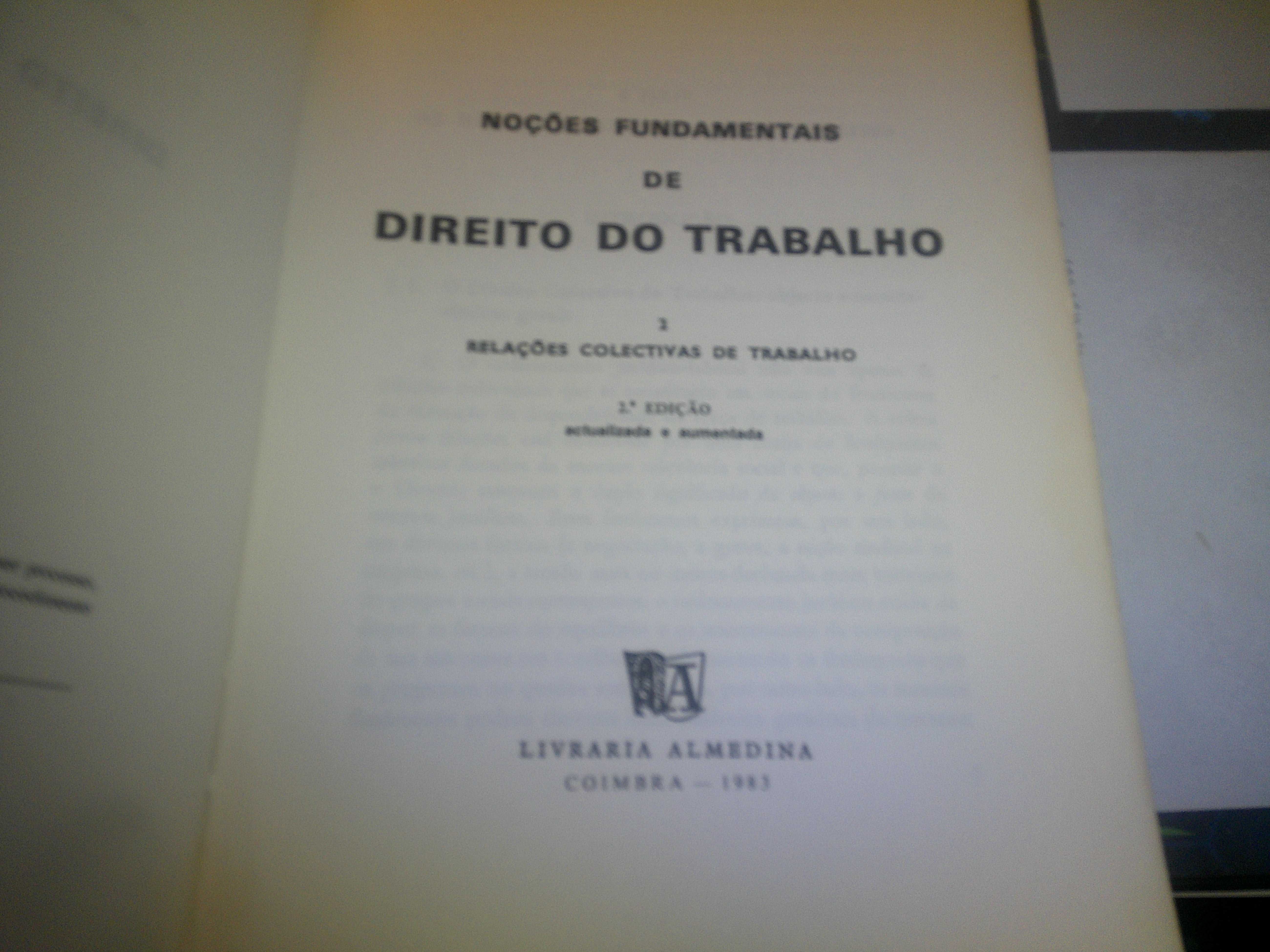 Noções Fundamentais de Direito do Trabalho 2 - Antonio Fernandes