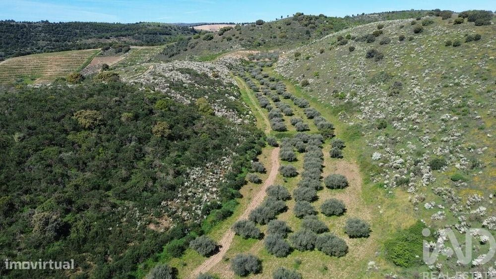 Terreno em Veiga de Lila de 72000,00 m2