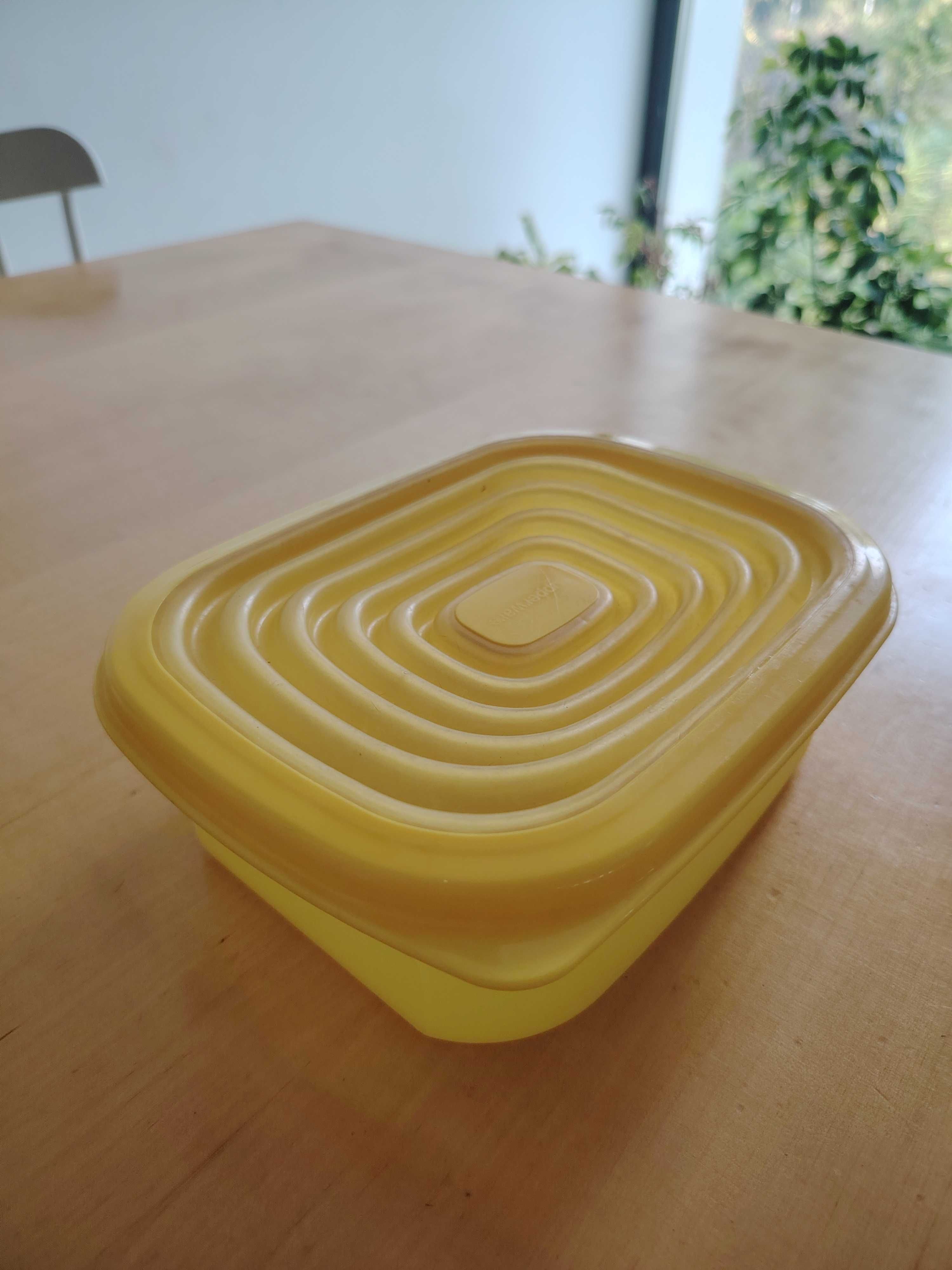 Tupperware pojemnik z elastyczną pokrywką