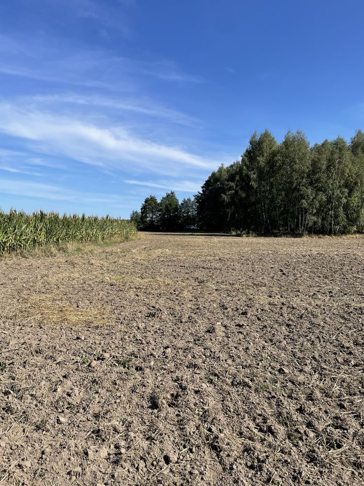 Działka Złotniki Klewinowo Bialystok gm. Juchnowiec 0,19ha Podlaskie