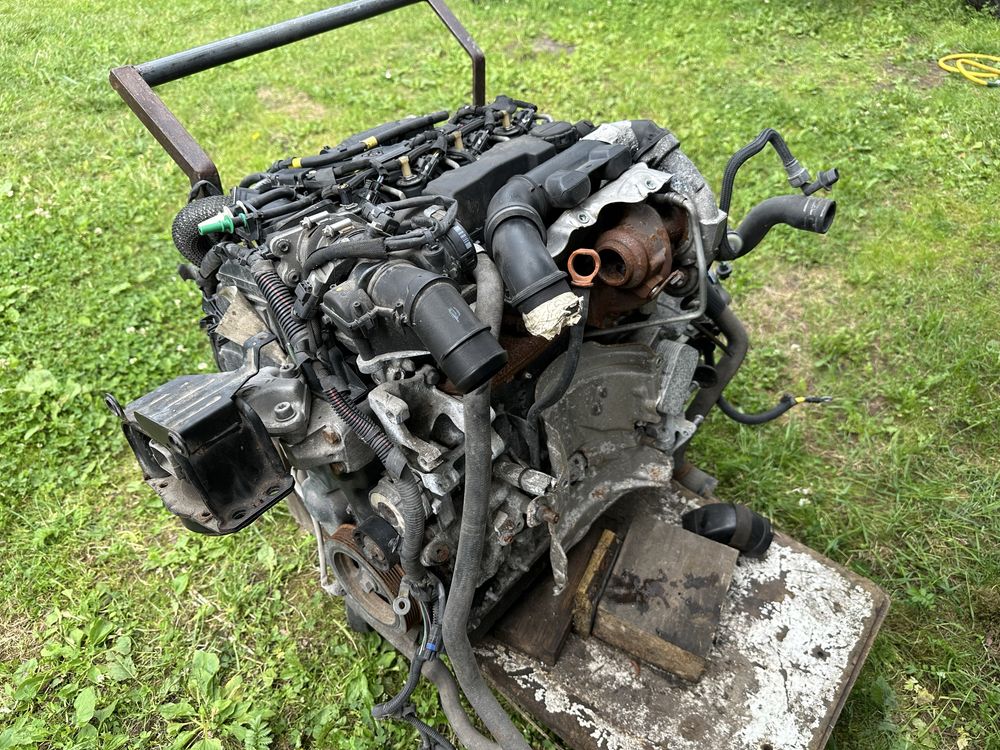 Silnik kompletny Peugeot Citroen 1,6 HDI niska cena.