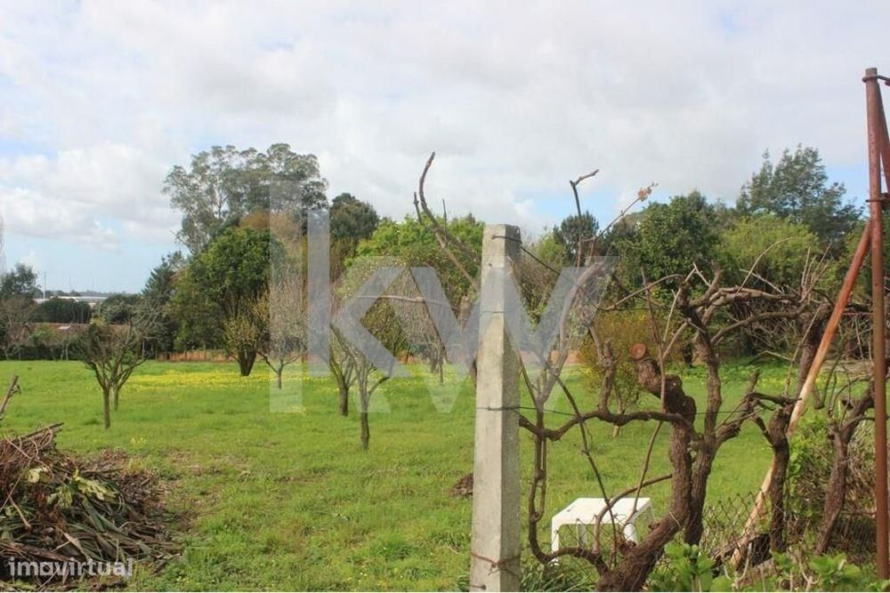 Terreno com 3325 m2 para construção de moradias Santiago da Riba-Ul, O