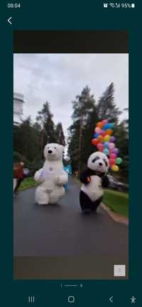 Miś biały Miś Panda 3m :) atrakcje  występy na wesele urodziny komunie