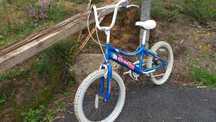 Bicicleta Berg Criança Roda 20