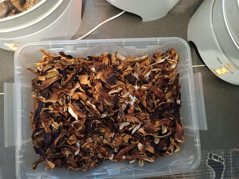 Suszone prawdziwki 1kg 250zł
