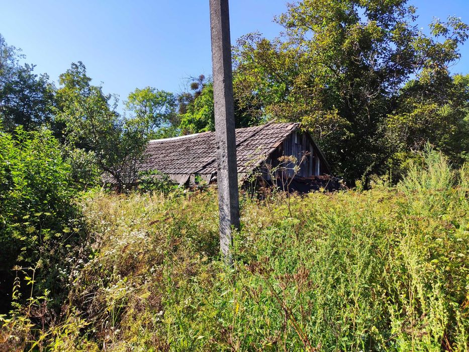 Земельна ділянка зі старим будинком с. Тамановичи