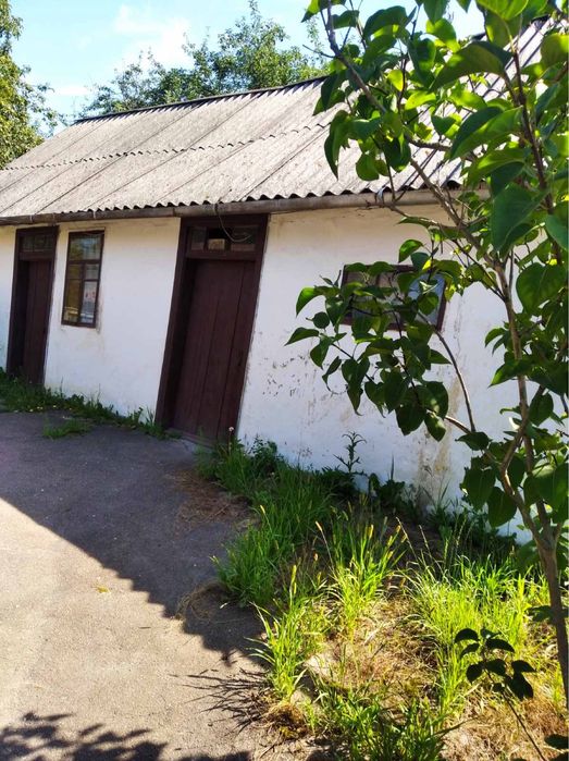 Будинок з садком та ділянкою