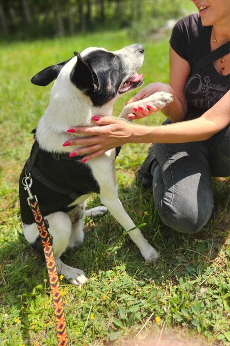 MARSHALL został zupełnie sam RATUNKU!