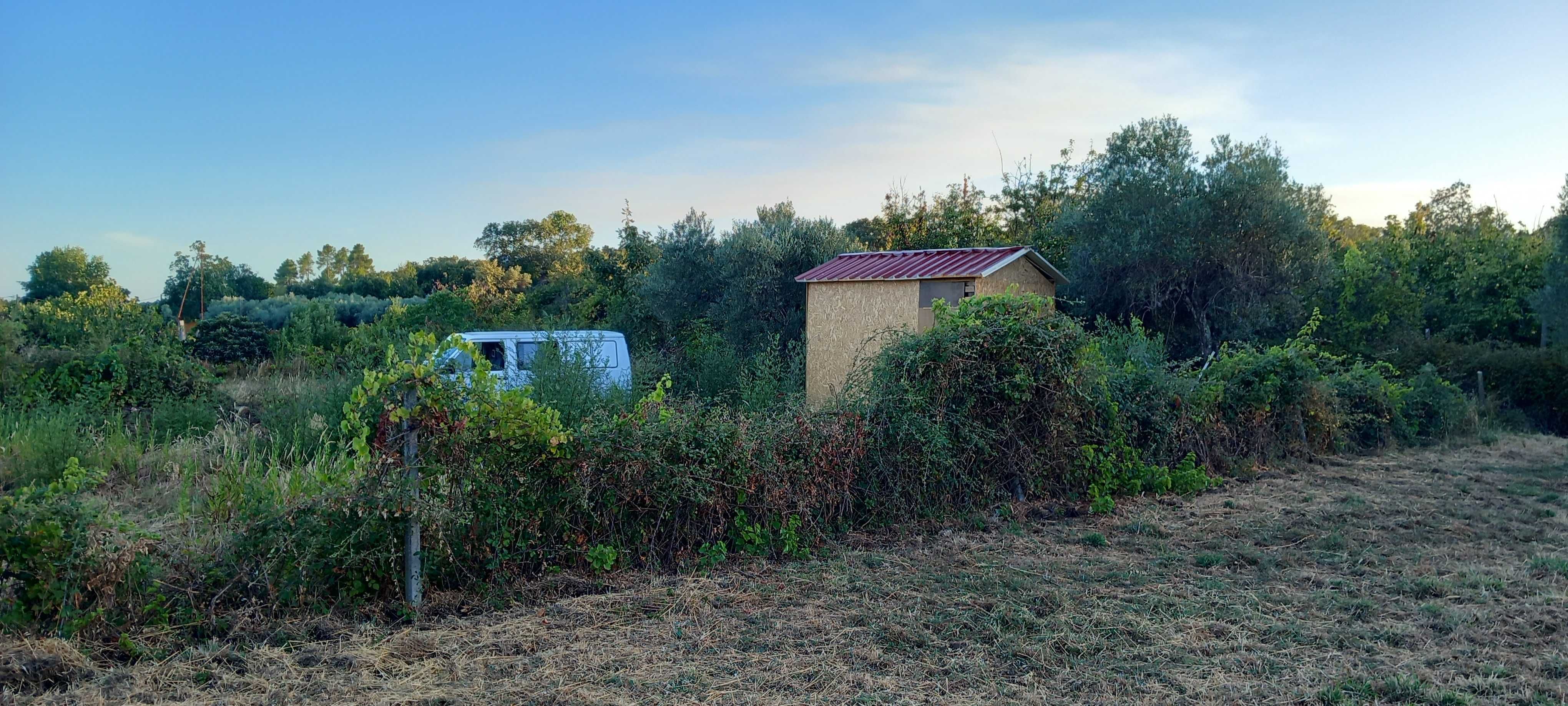 Terreno nas divisas portugal espanha
