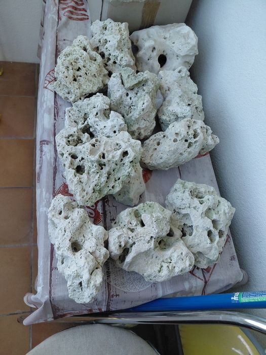 Wapień filipiński do akwarium