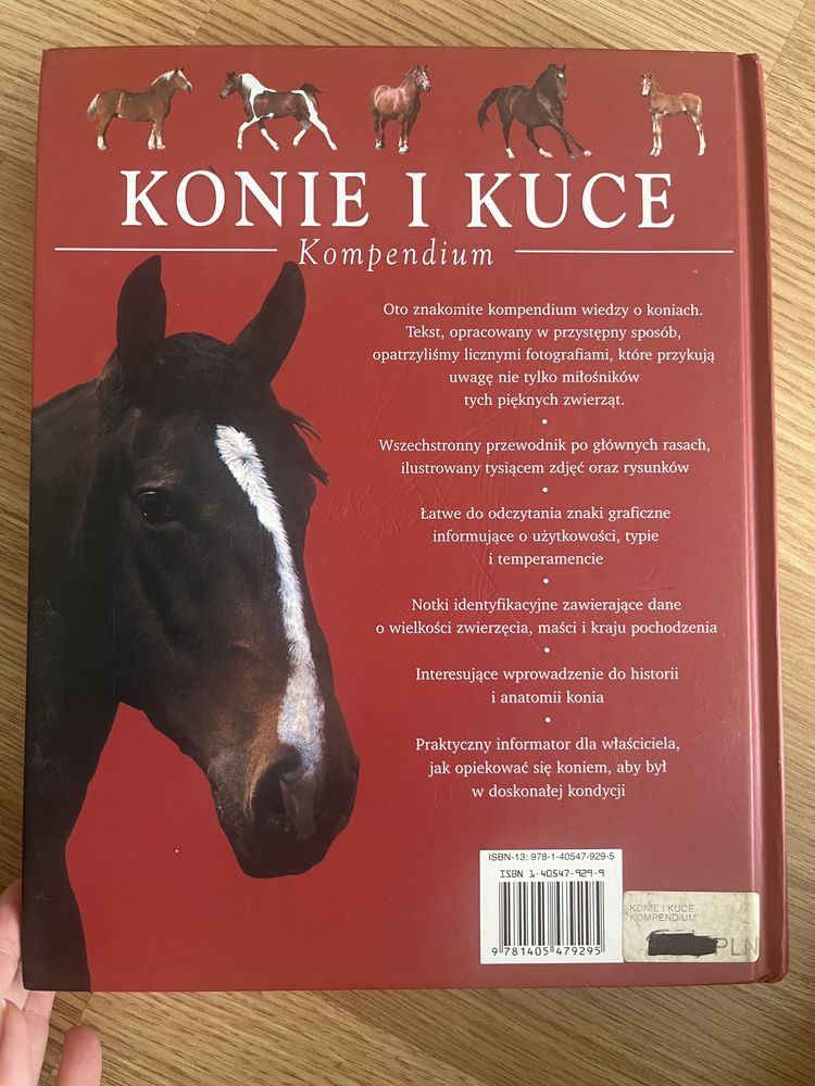 Konie i kuce Kompendium