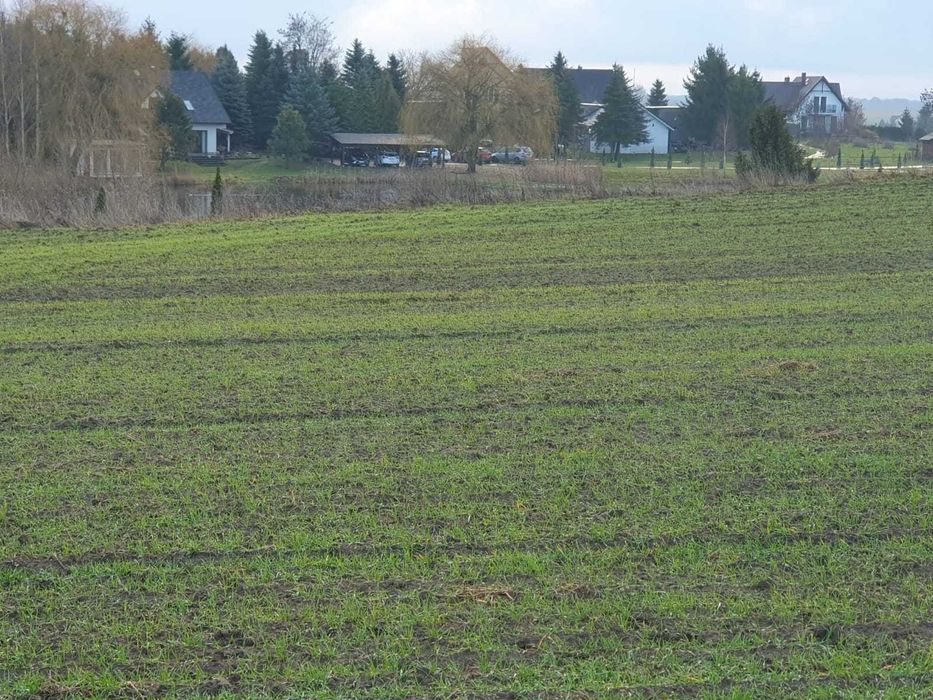 sprzedam działkę budowlaną. Usługowo-mieszkalna 3000m3