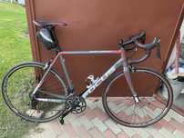 Focus cayo 56 rower szosowy