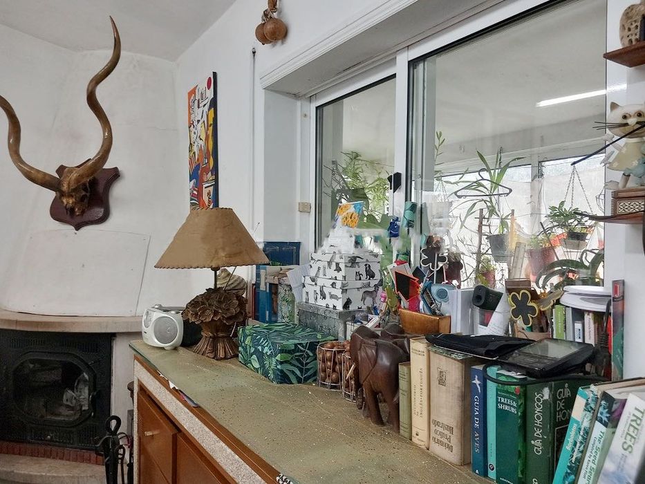 Vivenda Quinta Botânica - área 6000m2