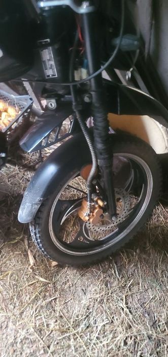 Продам мустанг фіт 2