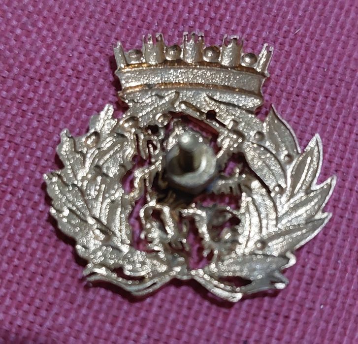 Insígnias  militares de boina    Exército