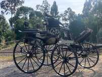 Charrete break/ cavalos