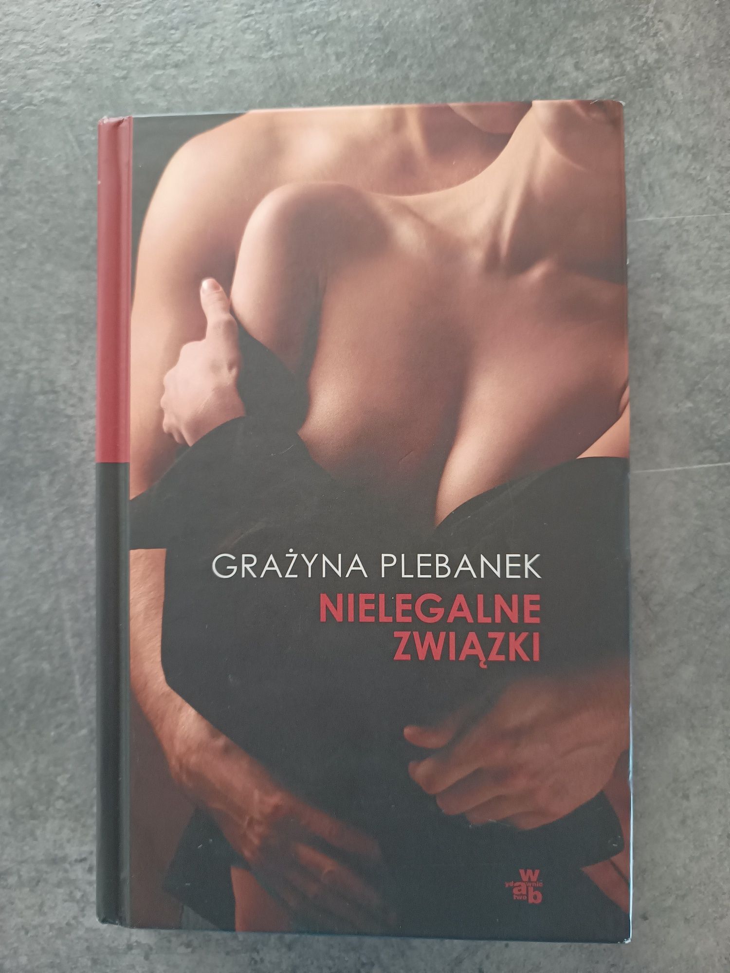 Grażyna Plebanek. Nielegalne związki.