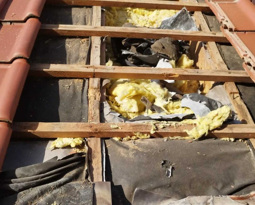 Naprawa dachu po kunie, naprawa izolacji po kunie, ocieplanie celulozą