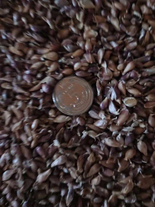 Продам воздушку Любаша