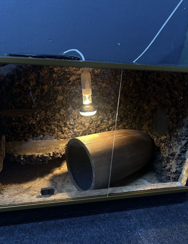 Terarium dla węża/gekona