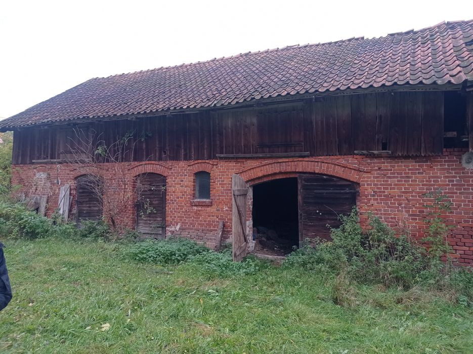 Opróżnianie sprzątanie utylizacja domów mieszkań piwnic strychów rod