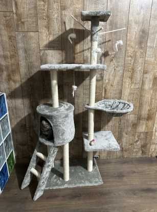 Кігтеточка будиночок для кота