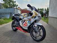 Aprilia RS 125 rotax 122 2t