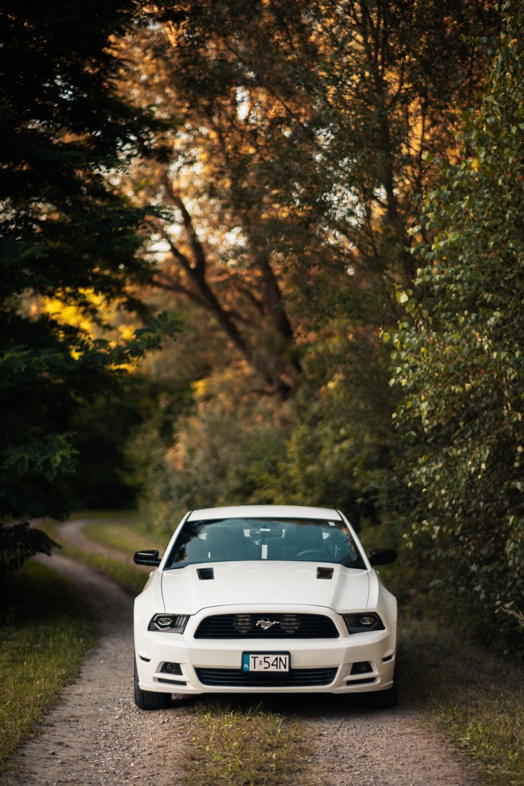 Ford Mustang 2011/2013 3.7 V6 PREMIUM