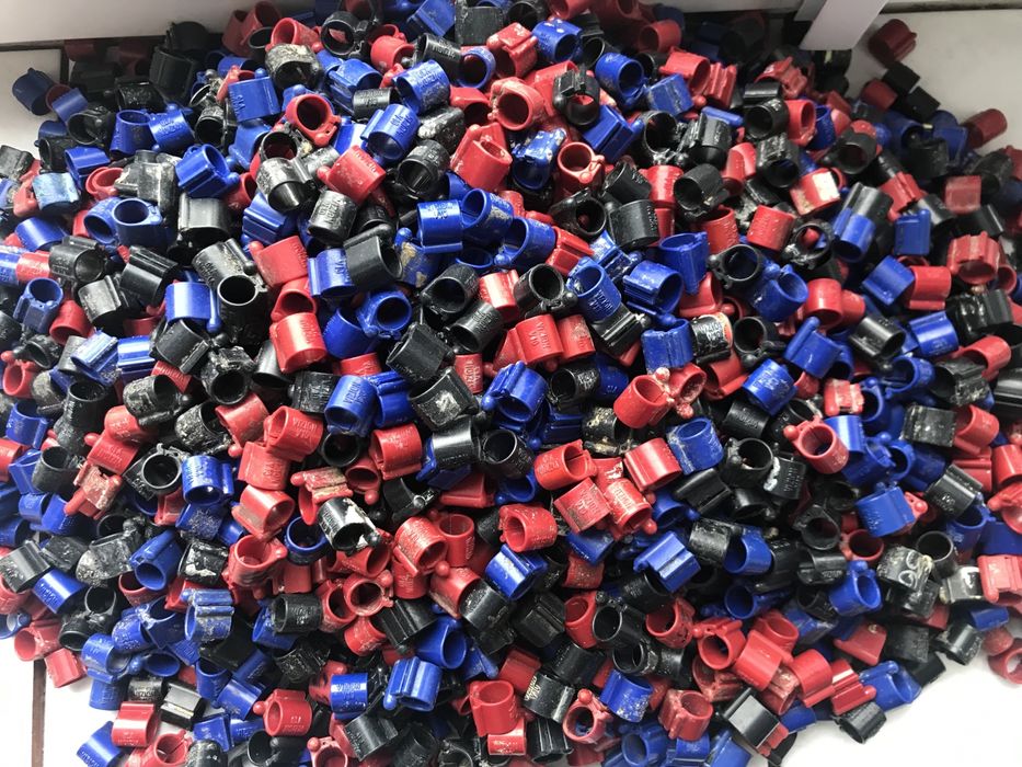 Tipesy Vizion V10 - Tipes tipesy - obrączki dla gołębi