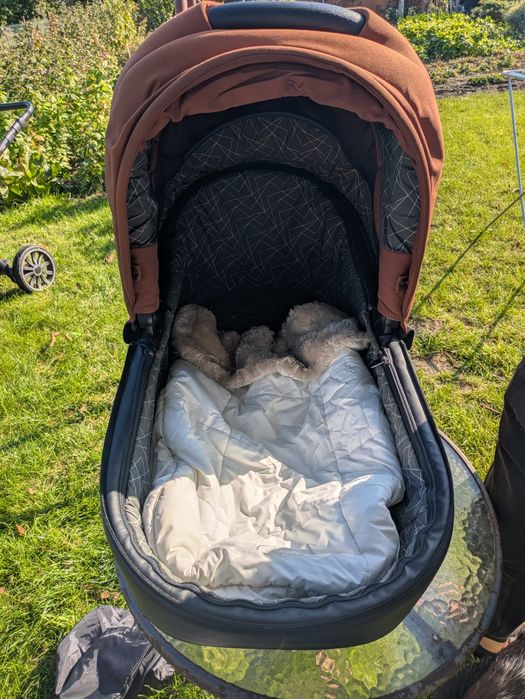Anex sport 2 in 1