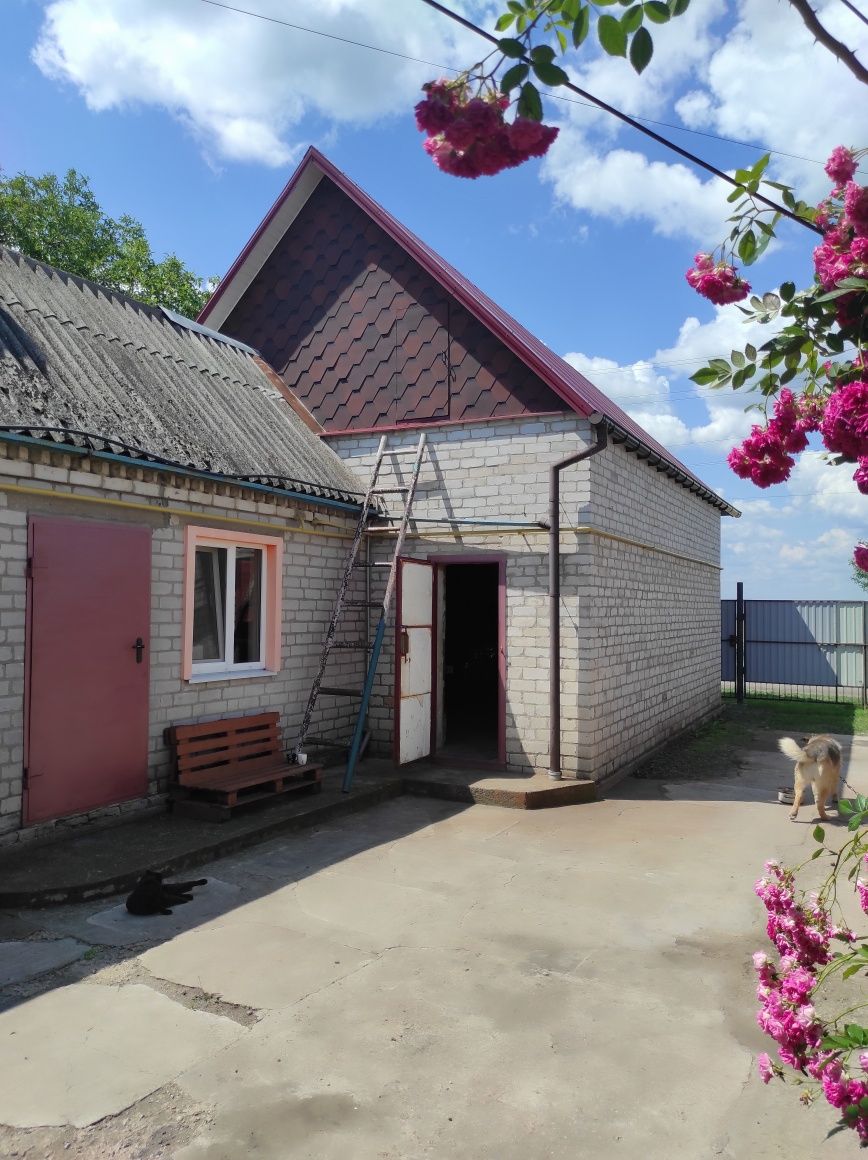Продам будинок в Чаплино