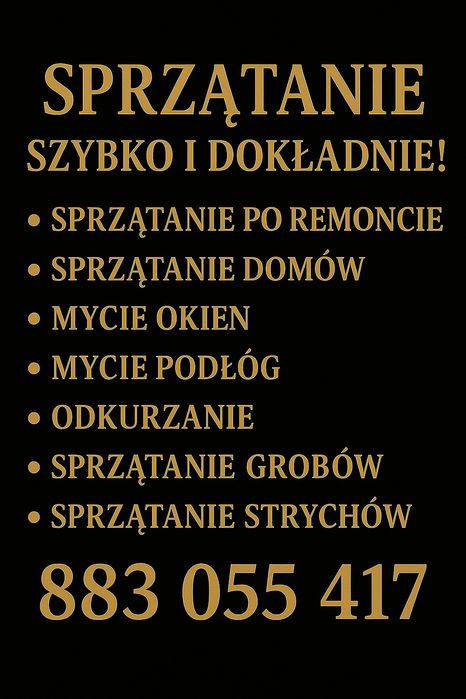 Profesjonalne Usługi Porządkowe