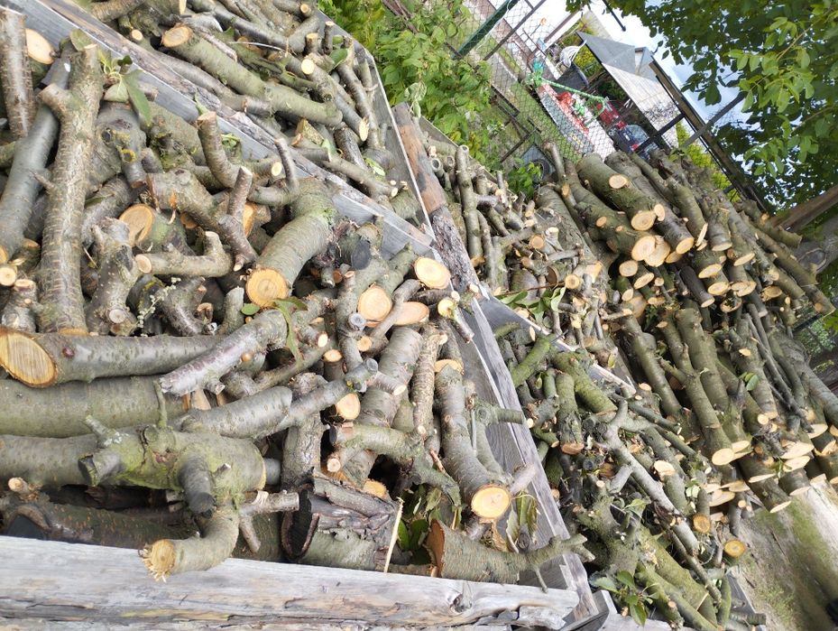 Drewno owocowe z czereśni do wedzenia