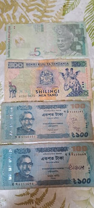 Banknoty numizmatyka