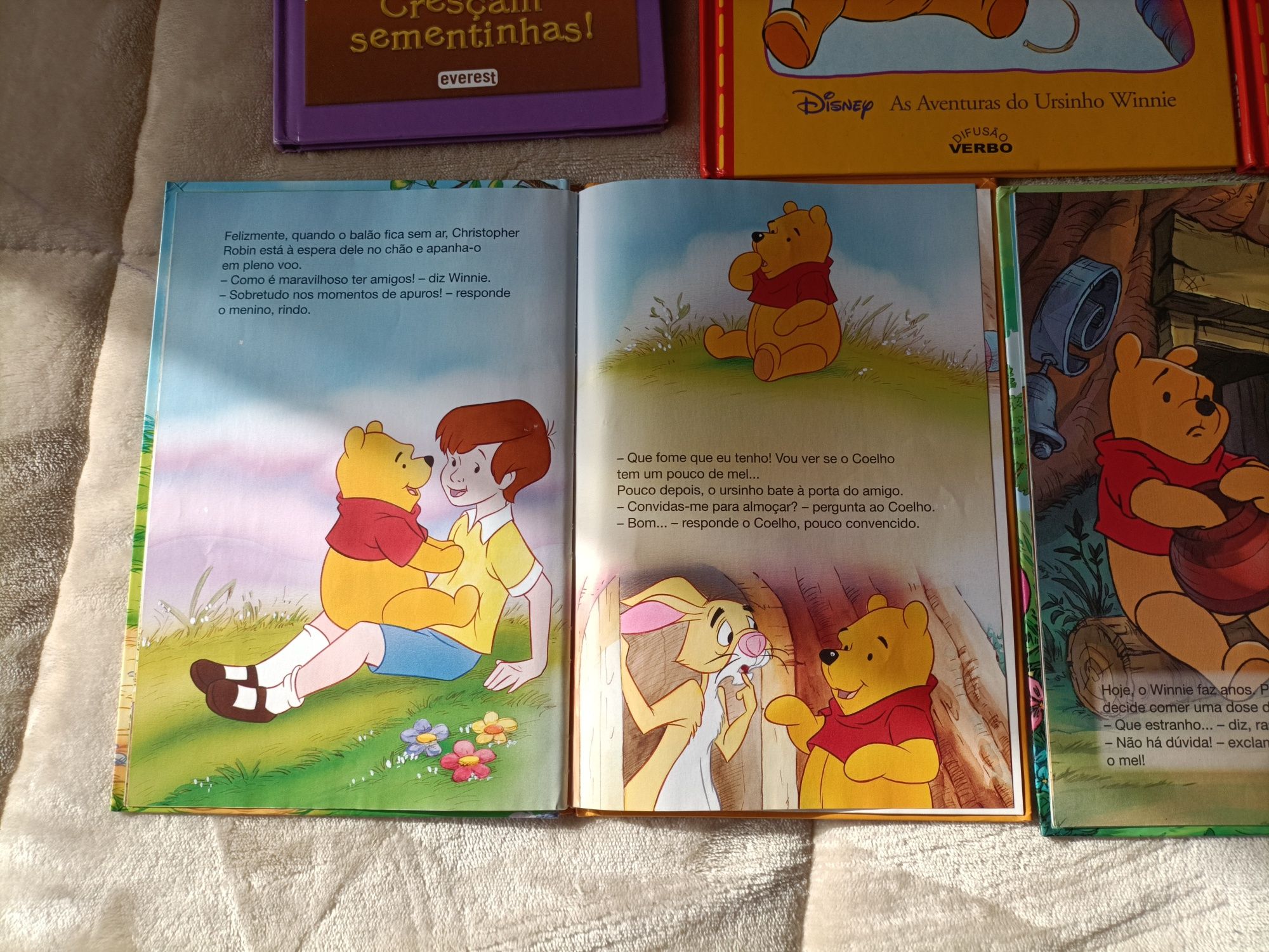 10 livros Winnie the Pooh
