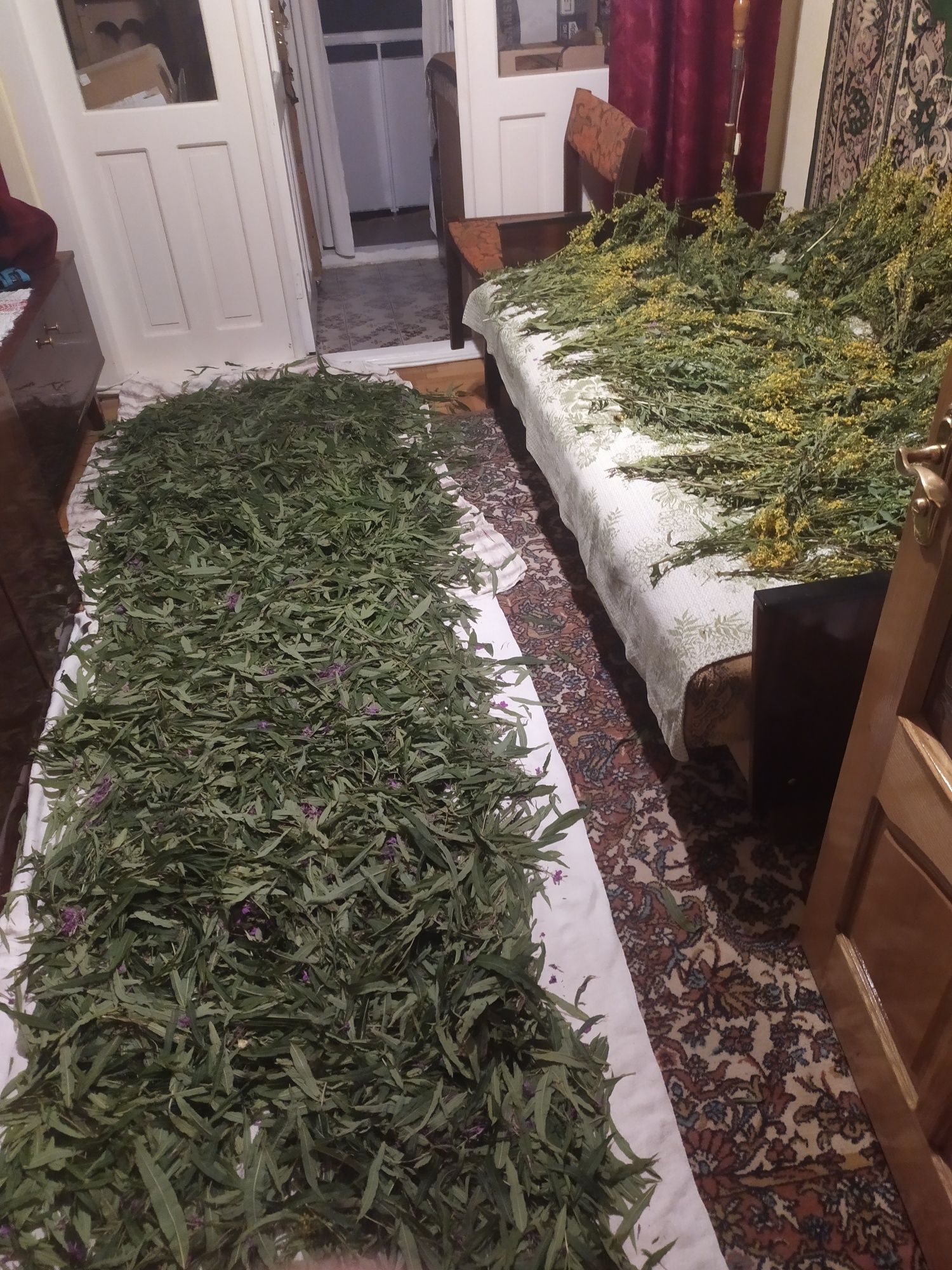 Цілющий чай фиточай карпатські трави