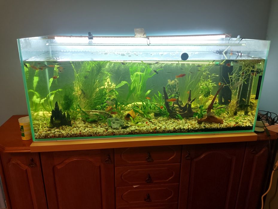 Okazja akwarium 300L